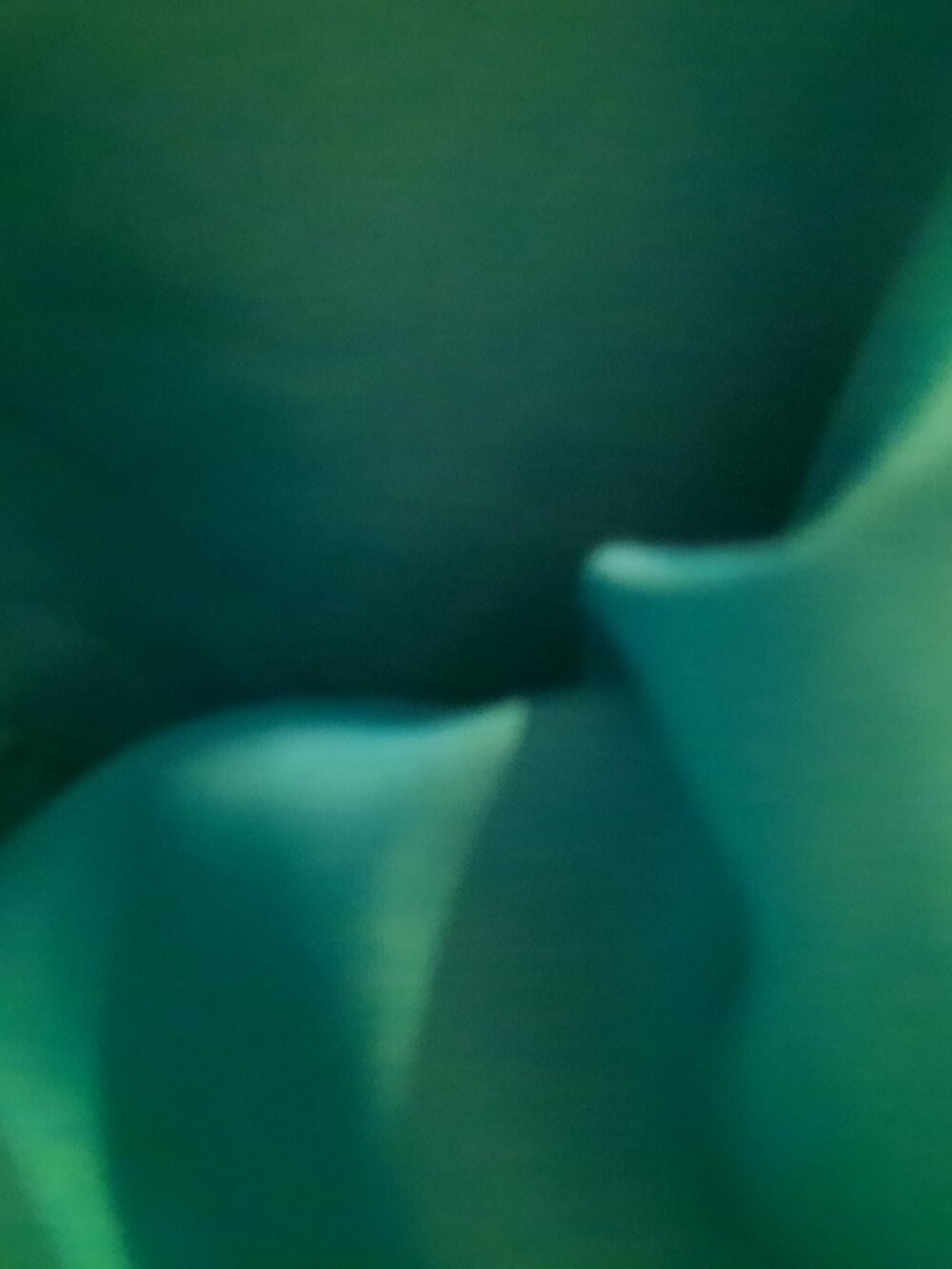 Shiny Green Color Fully Lined Skirt - Picture 4 of 4
